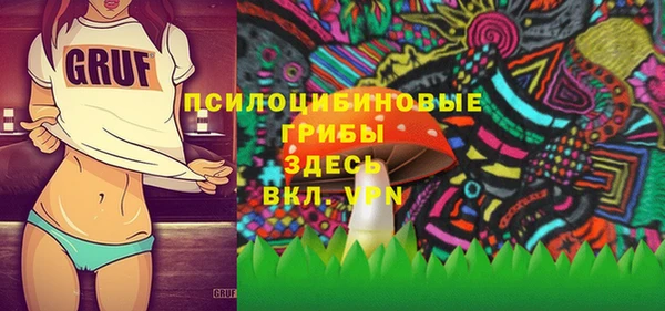 героин Алексин