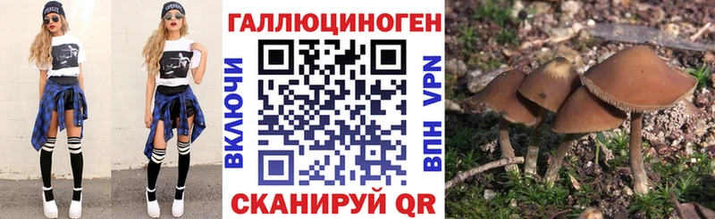 купить закладку Беслан Псилоцибиновые грибы Cubensis
